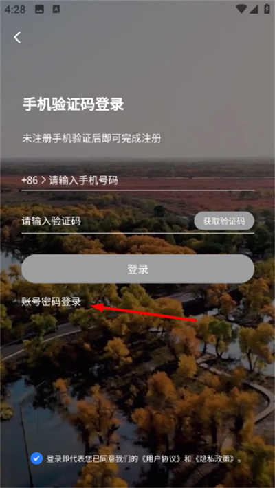 小熊自驾游2026 小熊自驾游2026