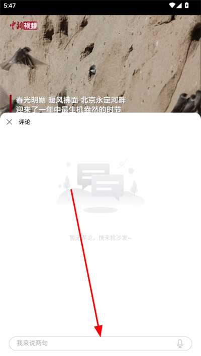 中国新闻网手机版