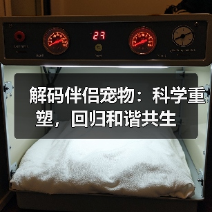 《疯狂坦克》Steam抢先体验开启，4K画质经典炮战全面升级