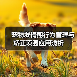 开发组太懂了！《哈迪斯2》总监：结局大改不是原计划