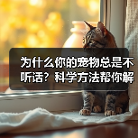 魂系游戏难在哪？公平挑战背后的玩家潜能