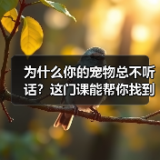 为什么你的宠物总不听话?这门课能帮你找到答案(图1) 为什么你的宠物总不听话?这门课能帮你找到答案(图1)