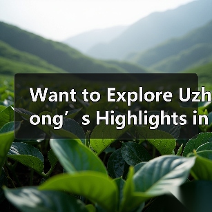 Want to Explore Uzhong’s Highlights in Just One Day? Here’s Your No-Stress Itinerary(图3) Want to Explore Uzhong’s Highlights in Just One Day? Here’s Your No-Stress Itinerary(图3)
