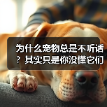 为什么宠物总是不听话?其实只是你没懂它们的心理(图3) 为什么宠物总是不听话?其实只是你没懂它们的心理(图3)