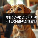 为什么宠物总是不听话?其实只是你没懂它们的心理(图4) 为什么宠物总是不听话?其实只是你没懂它们的心理(图4)