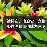 撤离射击引爆游戏圈 2025下半年现象级热潮