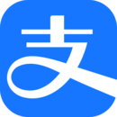 支付宝谷歌定制版